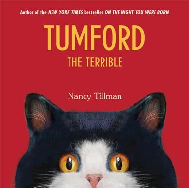 Tumford the terrible / [written and illustrated by] Nancy Tillman.