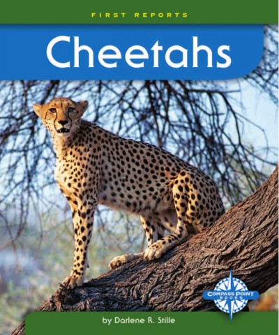 Cheetahs [electronic resource] / by Darlene R. Stille.