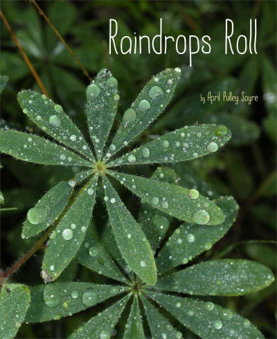 Raindrops roll / April Pulley Sayre.