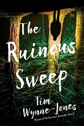 The ruinous sweep / Tim Wynne-Jones.