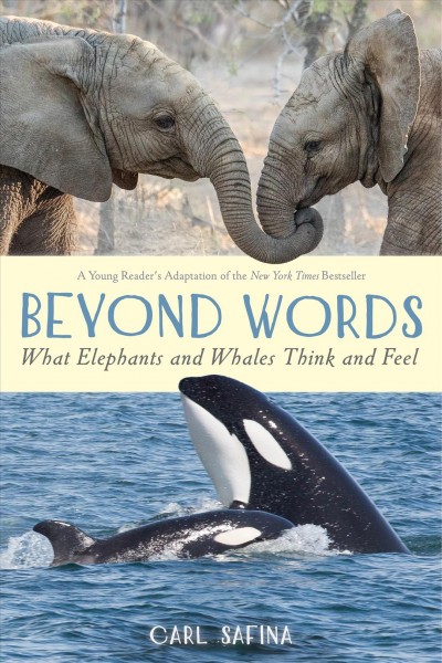 Beyond words : what elephants and whales think and feel / Carl Safina.