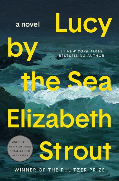 Lucy by the sea : a novel / Elizabeth Strout.