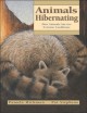 Go to record Animals hibernating : how animals survive extreme conditions