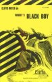 Black boy notes  Cover Image