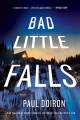 Bad Little Falls : a novel  Cover Image