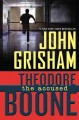 Theodore Boone : the accused  Cover Image