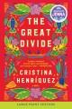 Go to record The great divide : a novel