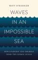 Waves in an impossible sea : how everyday life emerges from the cosmic ocean  Cover Image