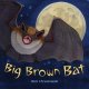 Go to record Big brown bat